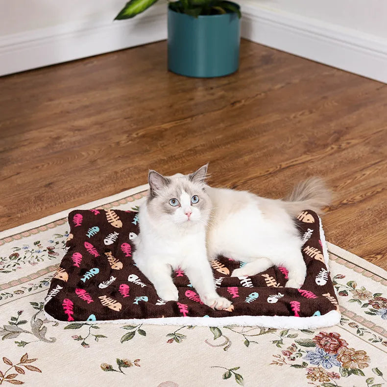 Couverture d'hiver épaisse pour chats