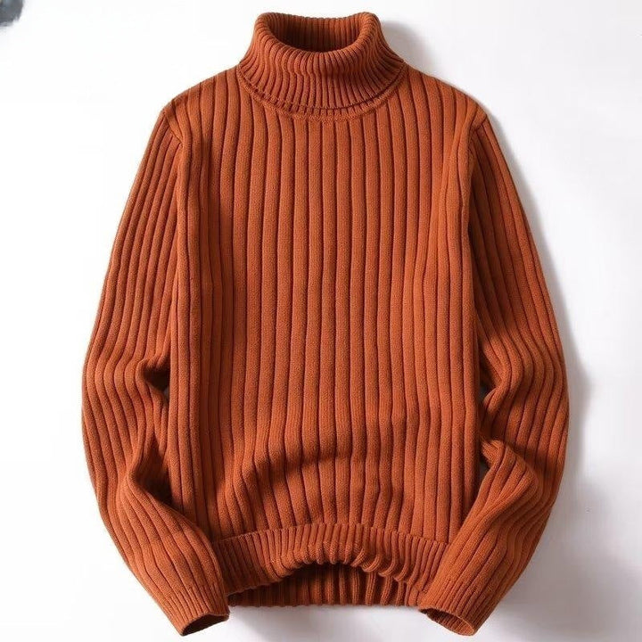 Pull à col roulé en maille côtelée pour homme - Darel