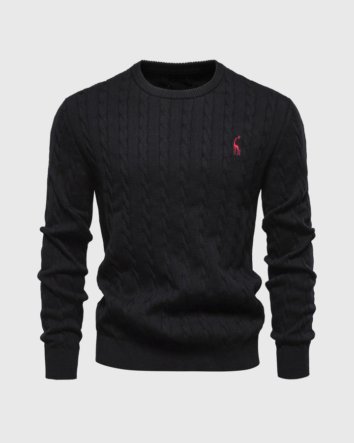 Pull en tricot tressé pour hommes - Lioren