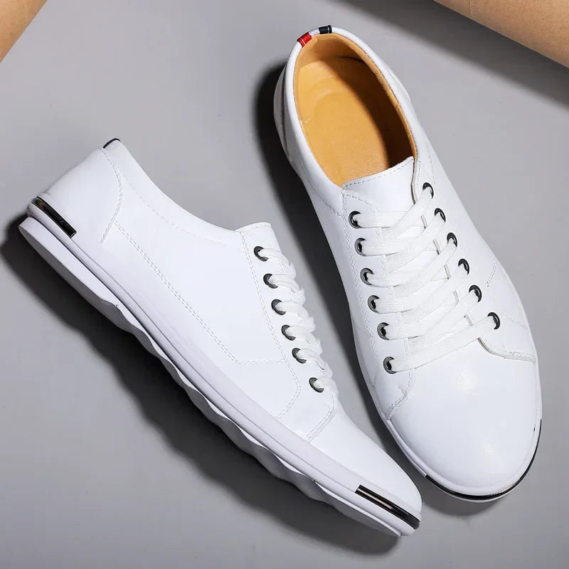 Chaussure basse Premier - Isidro
