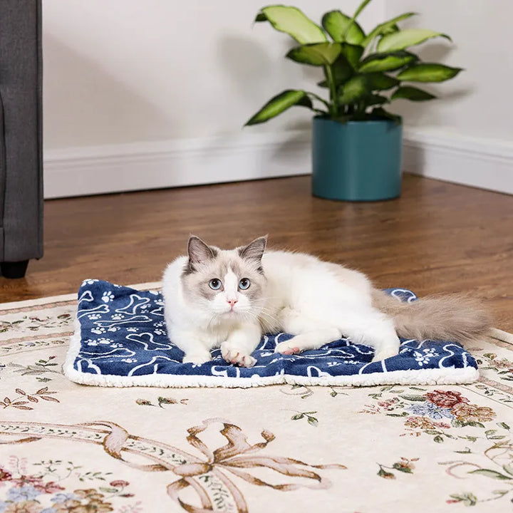 Couverture d'hiver épaisse pour chats